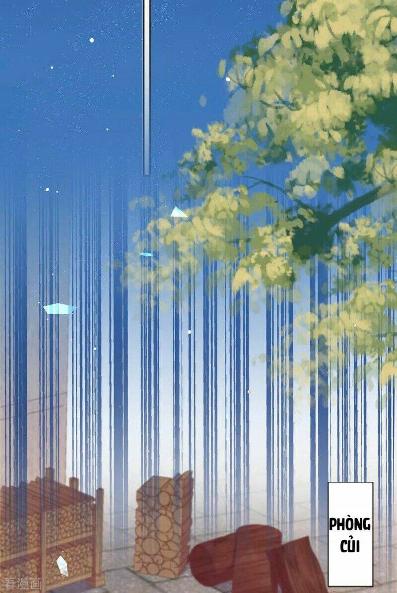 thị huyết y phi chapter 81 2