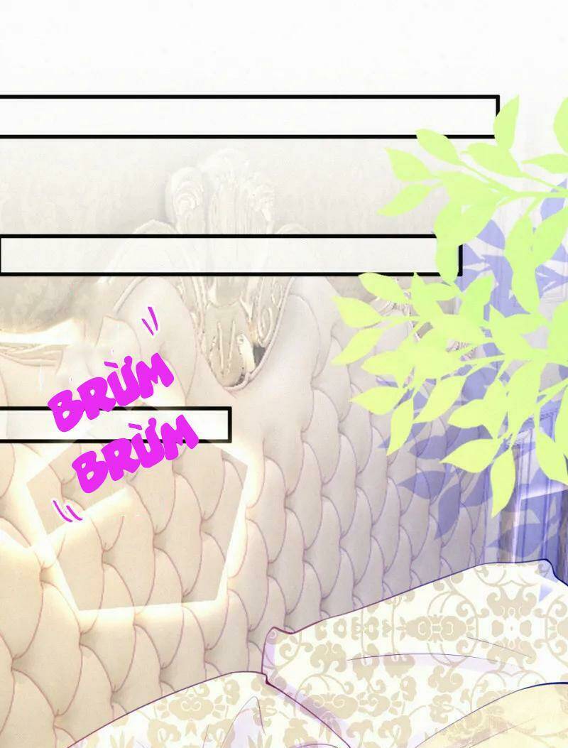 mami đột kích, thiên tài manh bảo khốc daddy chapter 42 13