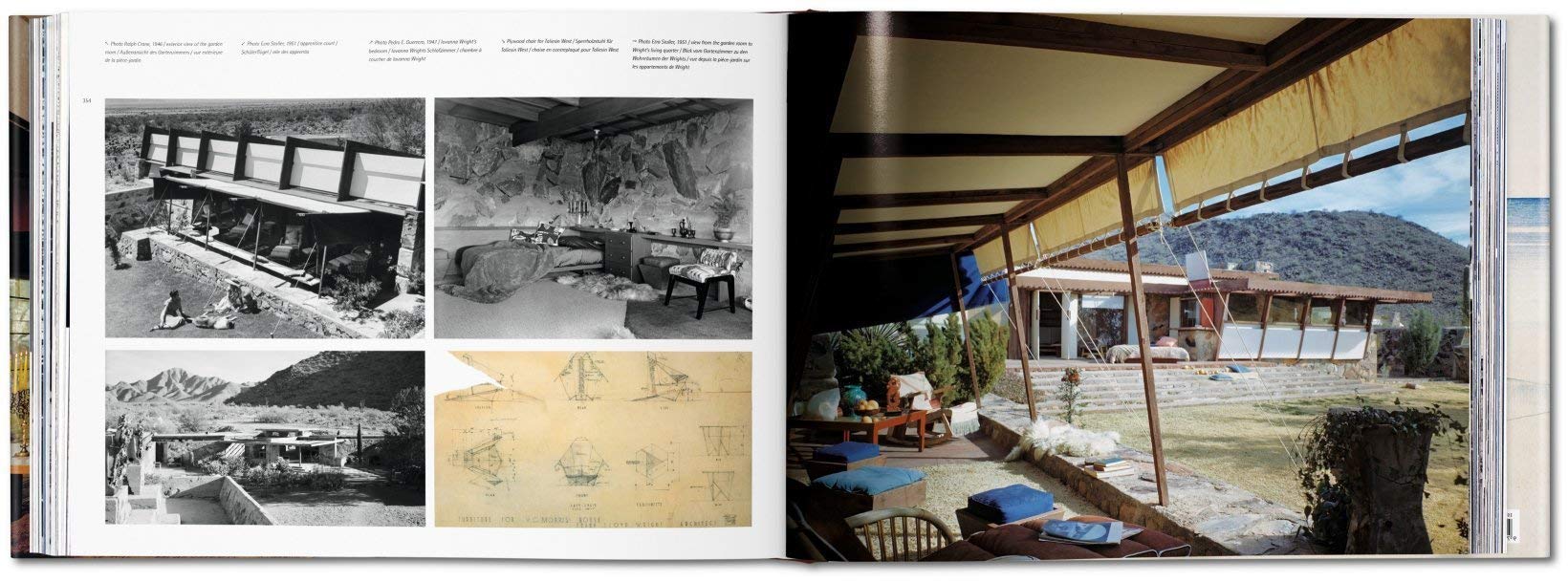 Artbook - Sách Tiếng Anh - Frank Lloyd Wright