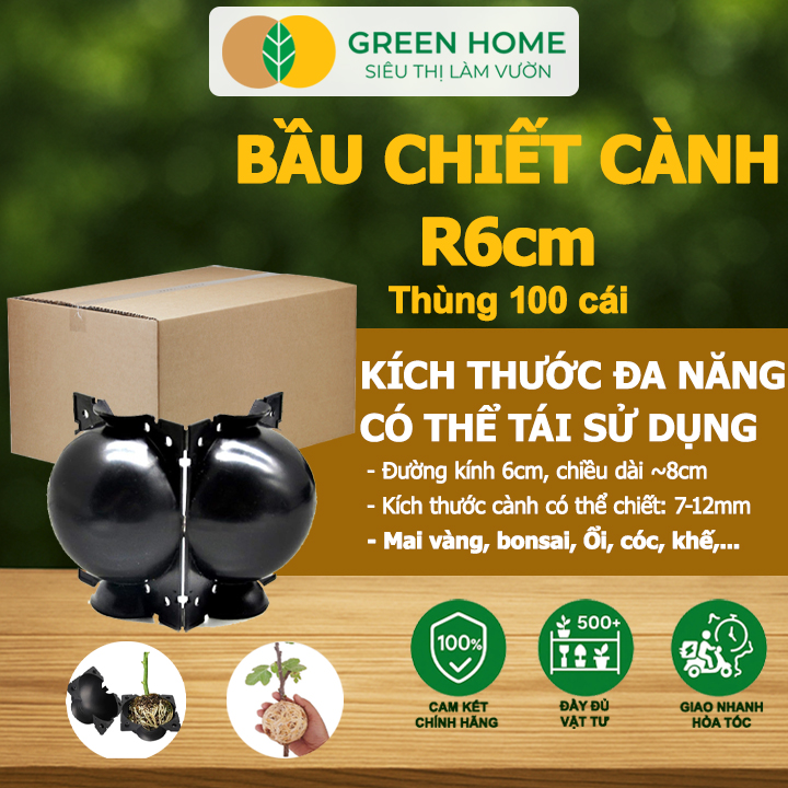Bầu Chiết Cành GreenHome, R6cm(1 Thùng 100 CÁI), Tăng Khả Năng Ra Rễ, Phù Hợp Với Mai Vàng, Ổi, Mận