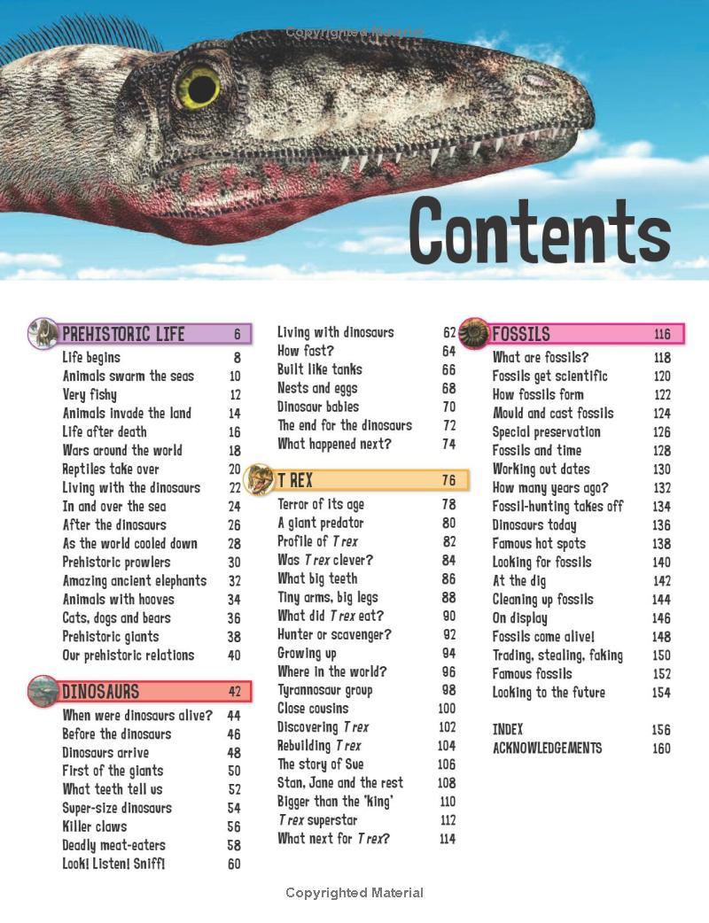 Sách ngoại văn: Wild About Dinosaurs