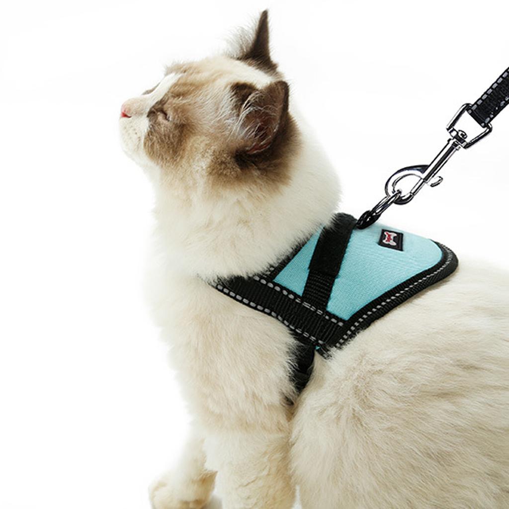 Adjustable Harness Walking Lead Leash Chest Strap For Pet Cat