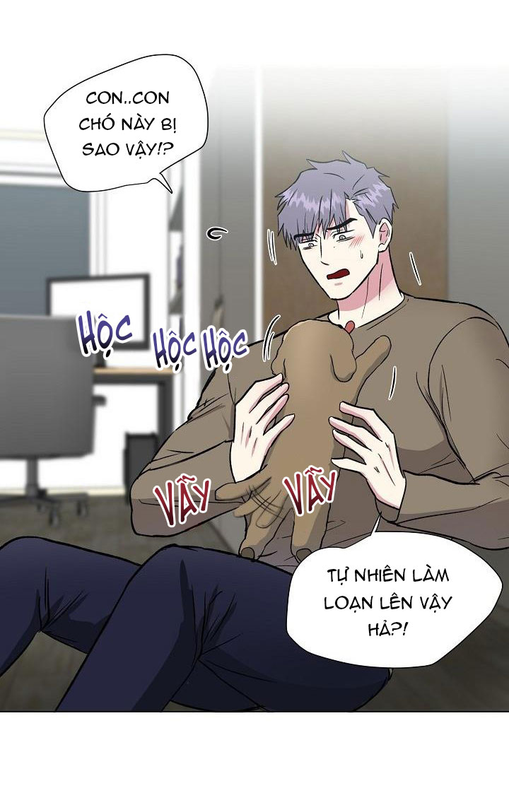 dưới đôi cánh ấy chapter 39 21