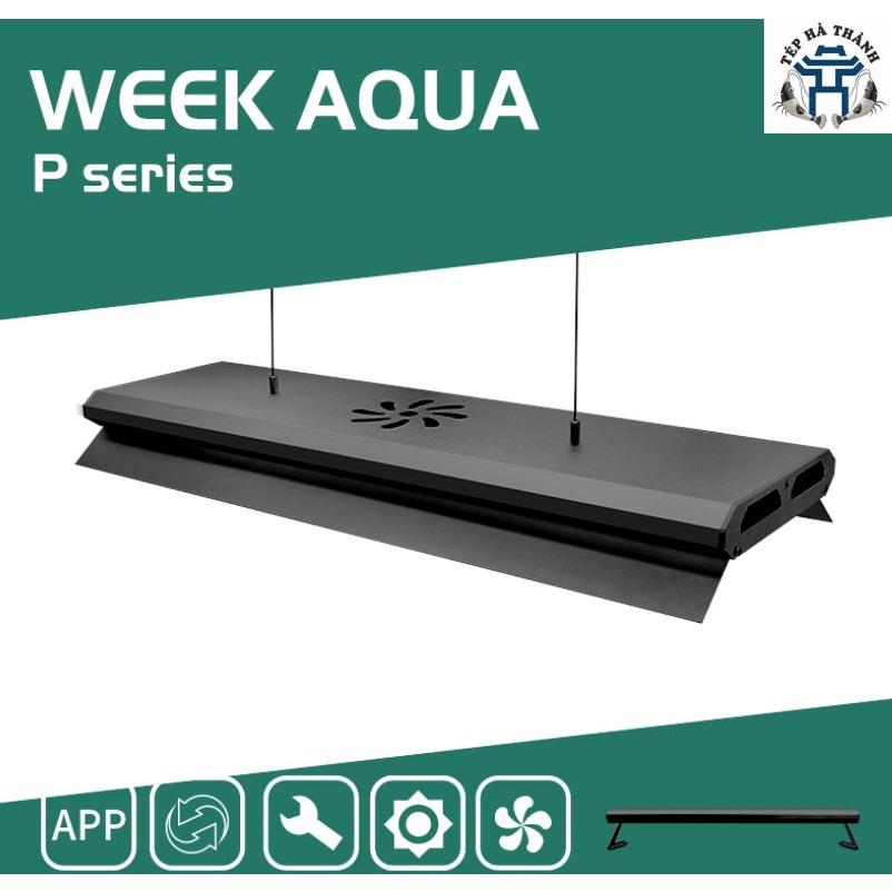 Đèn Led Cao Cấp WRGB Week P Series P600, P900, P1200