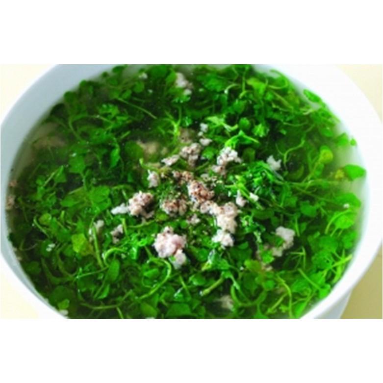 Combo 2 gói Hạt giống rau xà lách xoong Mỹ