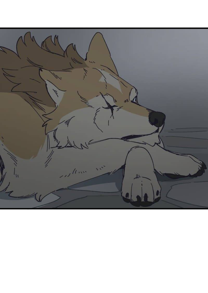 lumine - cội nguồn ánh sáng chapter 140 6