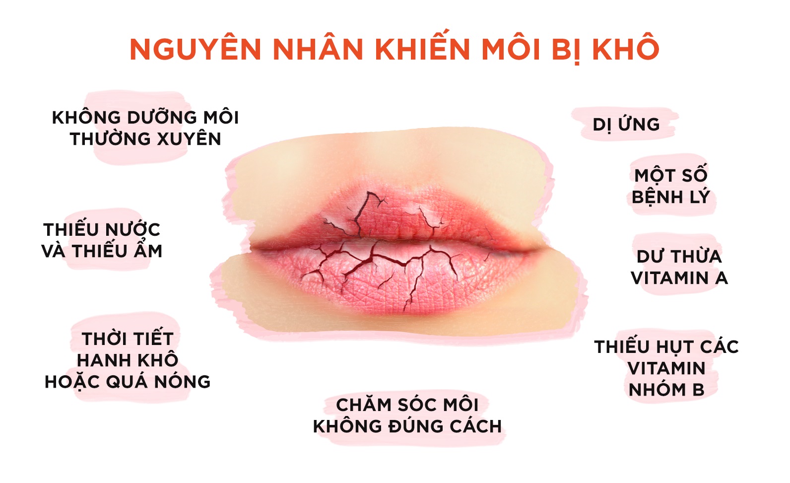 Son dưỡng môi mềm mọng DHC Lip Cream Nhật dưỡng môi khô, làm mặt nạ ngủ cho môi và son lót - Massel Official