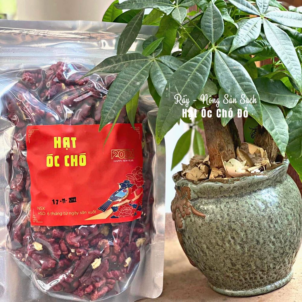 Hạt óc chó đỏ nhập khẩu Mỹ cao cấp, hạt dinh dưỡng ăn liền ăn kiêng ăn vặt an toàn