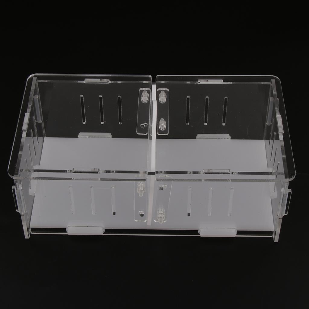 1x Reptile Cage Food Feeding Container For Spider Frog Cricket Turtle