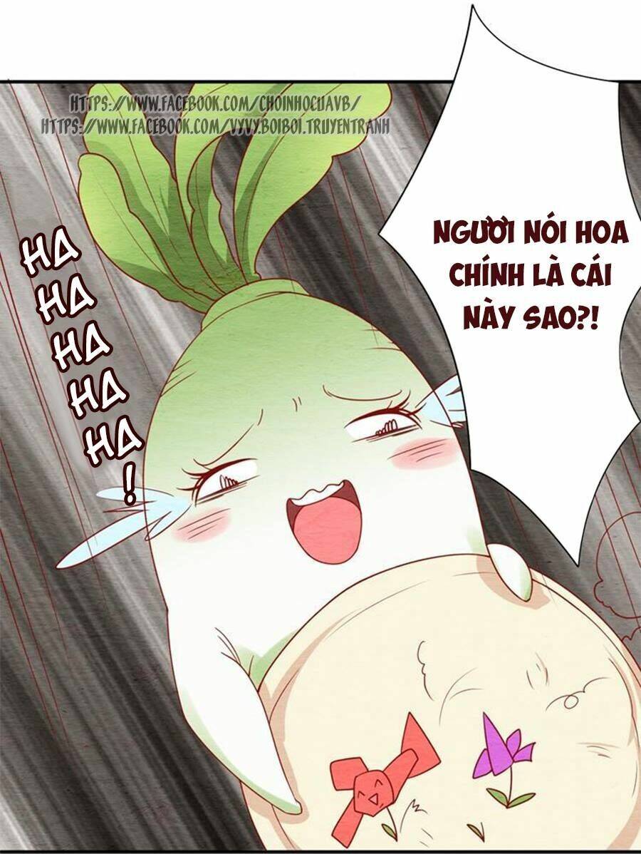 nhân hoa duyên chi sư phụ đại nhân cầu sủng ái chapter 7 31