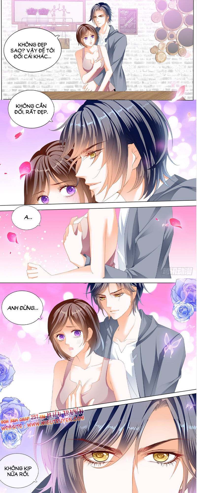 lóe thiểm hôn kiều thê mơ tưởng trốn chapter 256 12