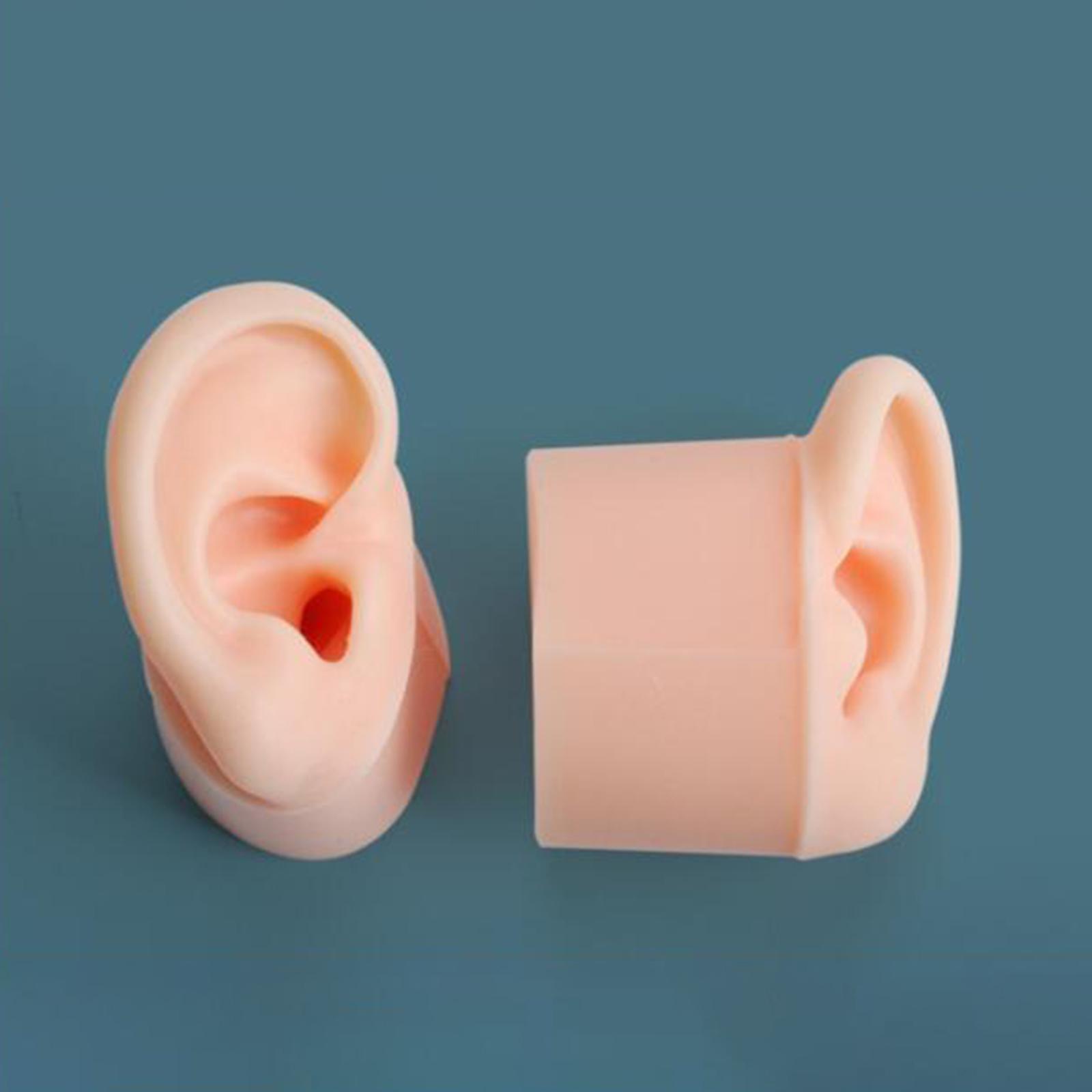 1Set Soft Silicone Ear Model with Base Delicate Texture Earrings Display