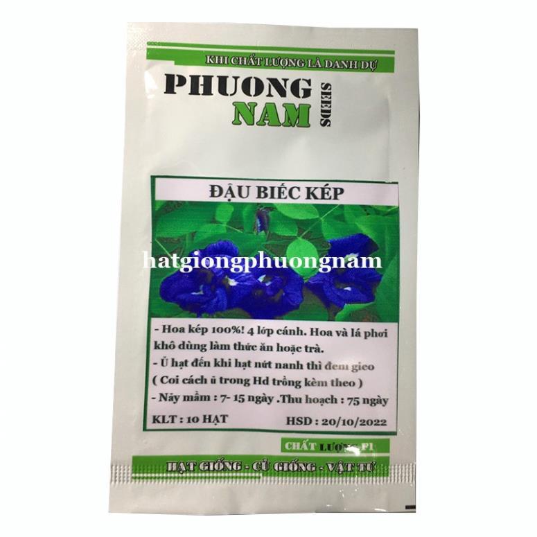 20H - HẠT GIỐNG HOA ĐẬU BIẾC KÉP
