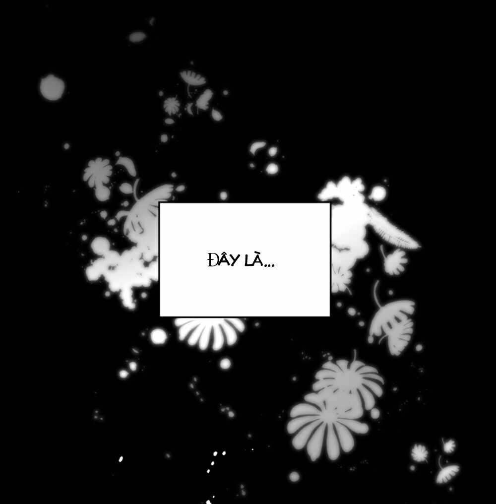 công chúa hiến tế – cấm reup truyện chapter 2 16