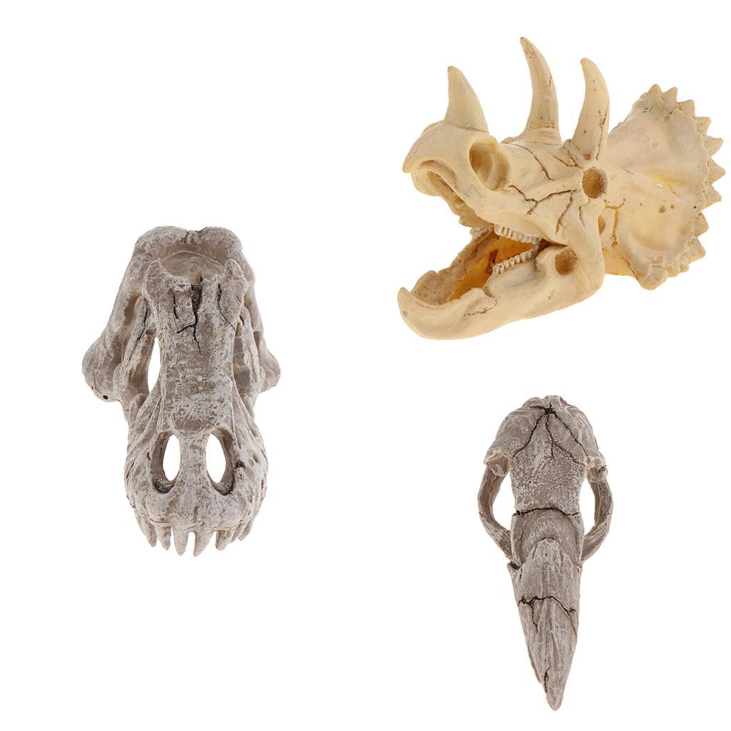 Reptile Vivarium Decoration Terrarium DIY Landscaping Skull