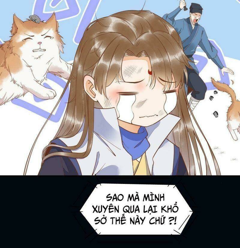 sát thủ vương phi không dễ chọc chapter 37 33
