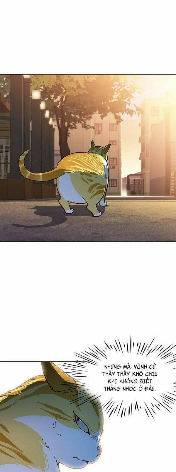 biến thân thành mèo chapter 13 6
