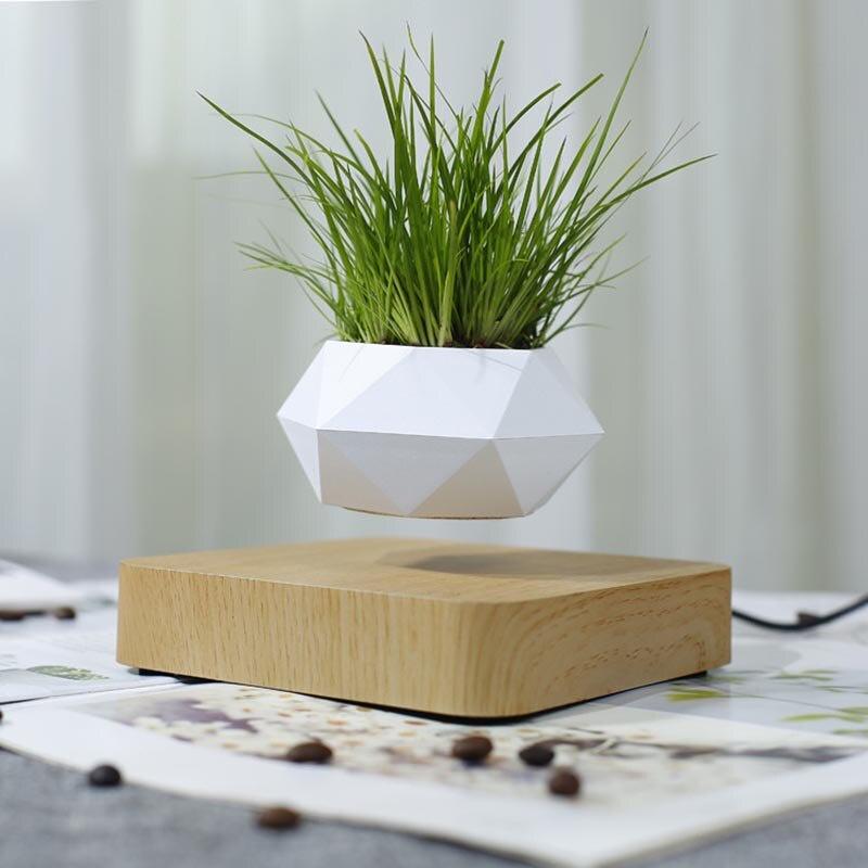 Chậu cây bay trang trí từ tính BonSai Bay Zero W Design
