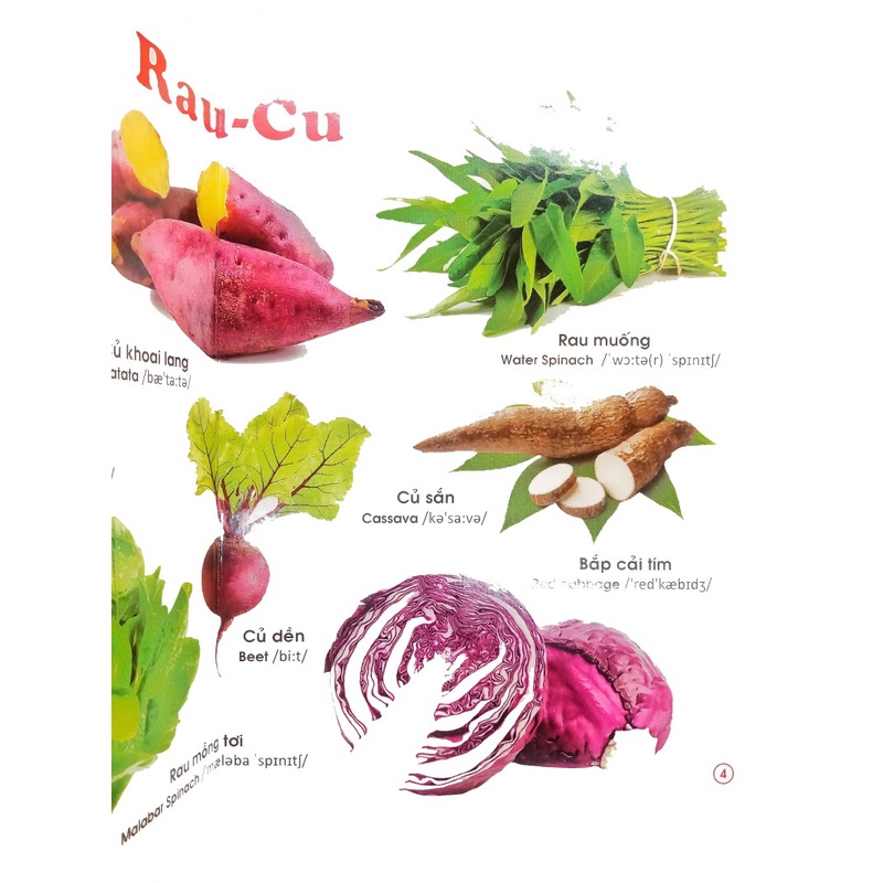 Sách - Combo 2 cuốn Từ Điển Tranh Song ngữ Anh Việt - ndbooks
