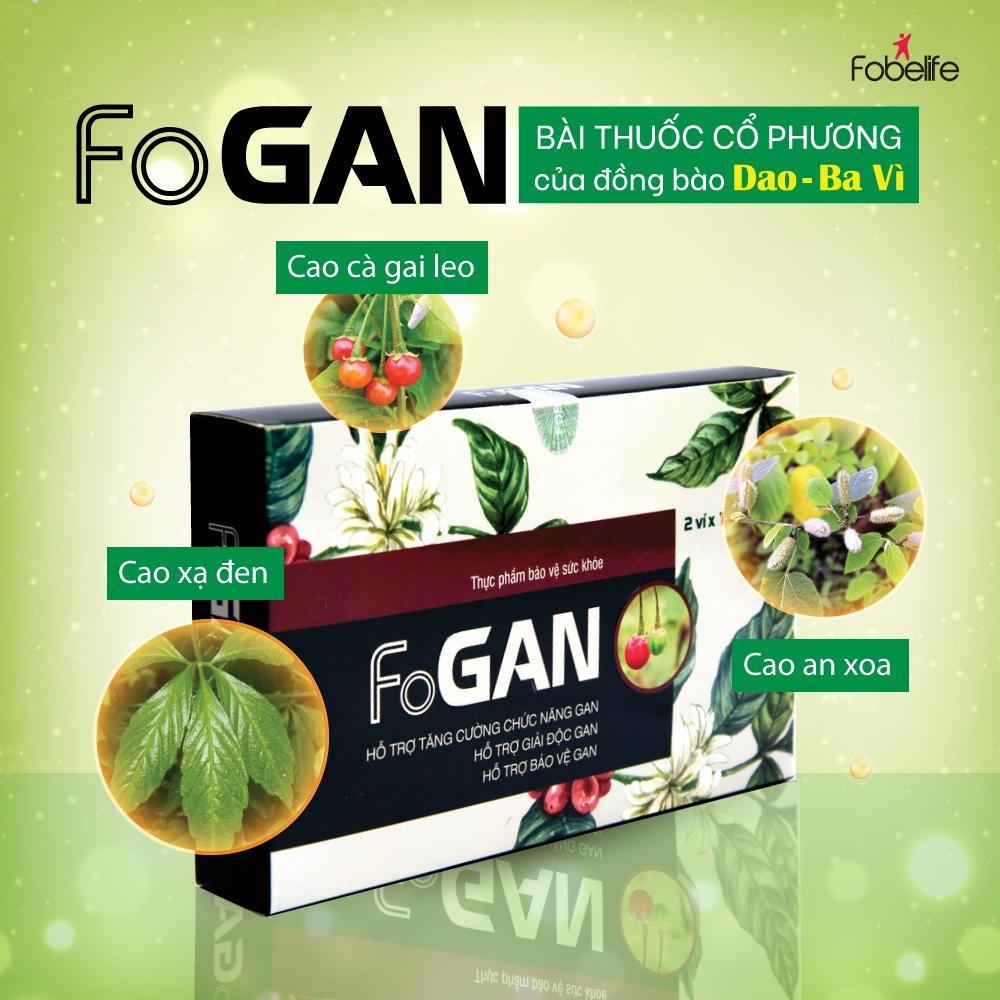 Viên Uống Mát Gan Giải Độc Gan Thanh Nhiệt Cơ Thể FoGan - Hộp 20 viên