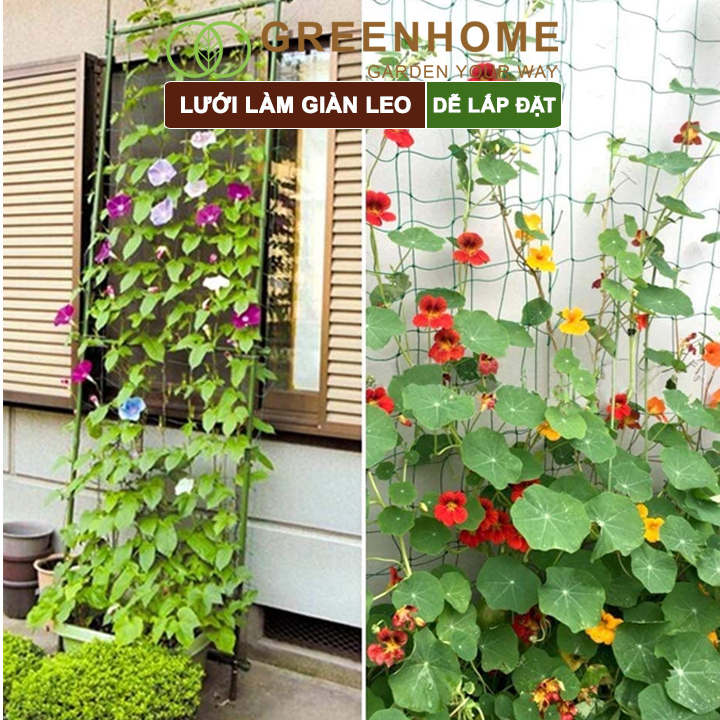 Lưới làm giàn cây leo, GreenHome, Nhiều kích thước Độ bền cao, Dễ lắp đặt, Không viền, Làm giàn bầu, Mướp, bầu, Bí, hoa