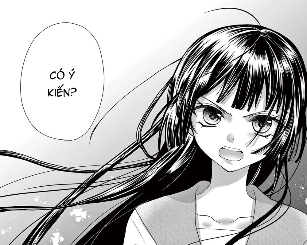 chàng rể giả nhân giả nghĩa chapter 17 31