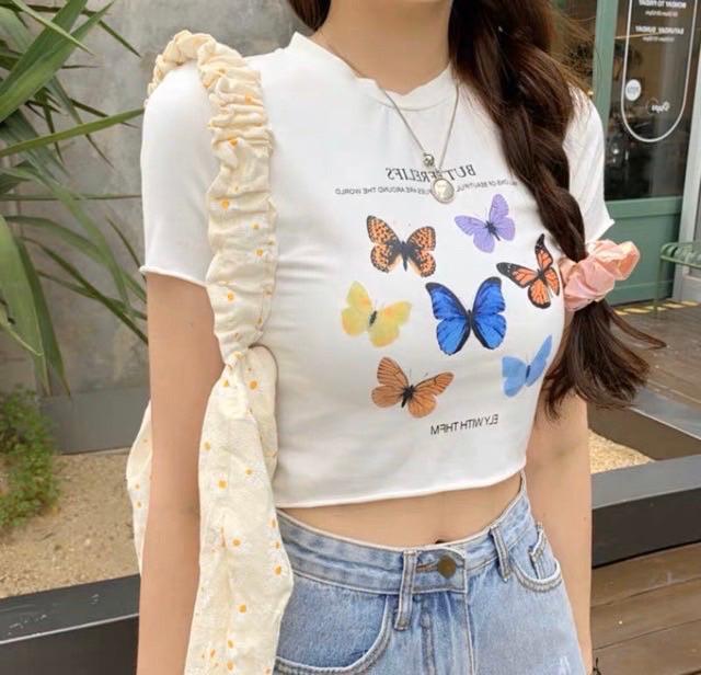 Áo croptop đàn bướm vintage