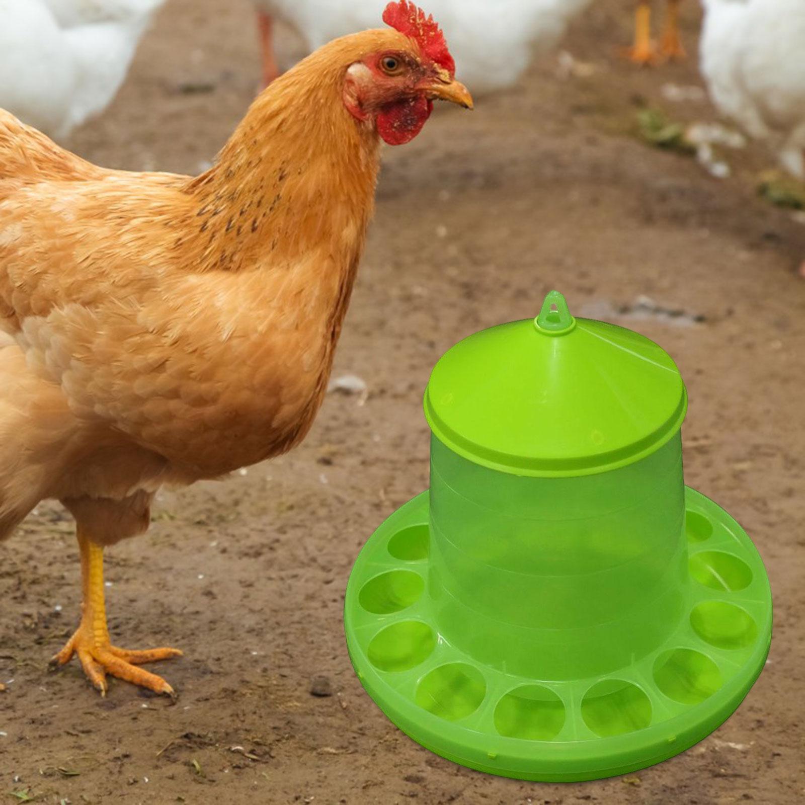 Chicken Feeder with Feeding Holes Hanging feed Dispenser Visible for Duck