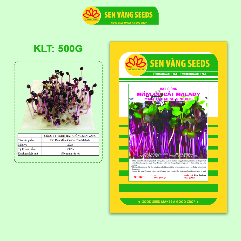 Hạt Giống Rau Mầm Malady - Nhập khẩu Ý, nảy mầm &gt;95%, siêu dinh dưỡng, chuẩn màu tím đậm, dễ trồng - HẠT GIỐNG SEN VÀNG