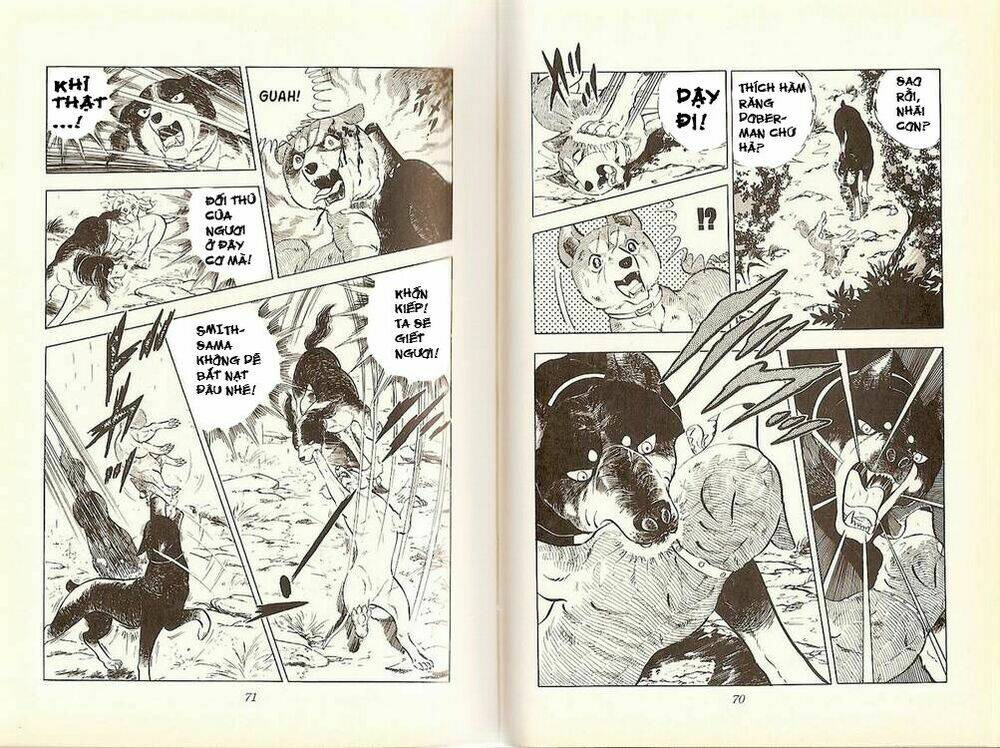 chú chó có nghĩa - ginga nagareboshi gin chapter 14 14