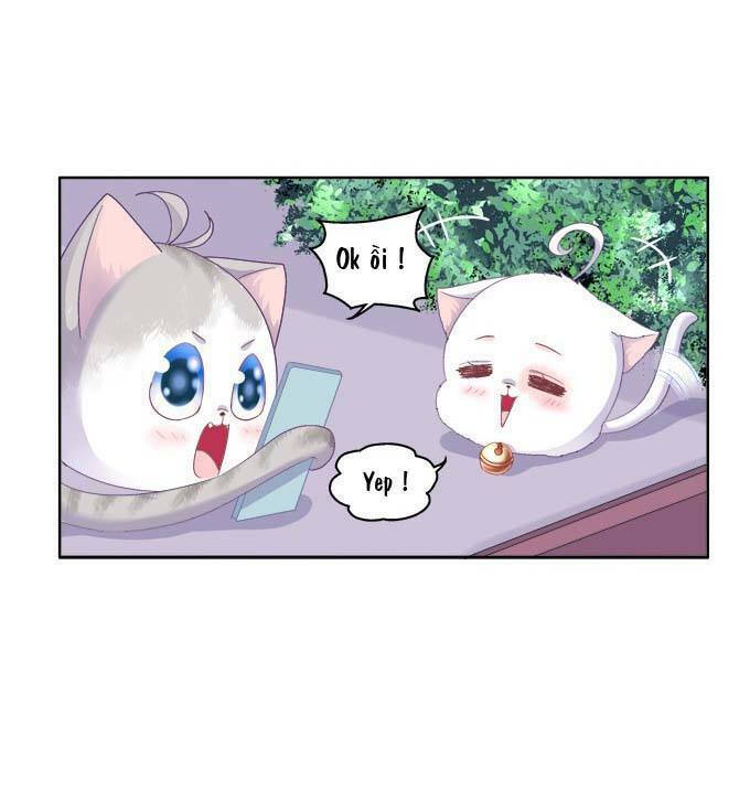 dụ hoặc miêu yêu chapter 20.5 35