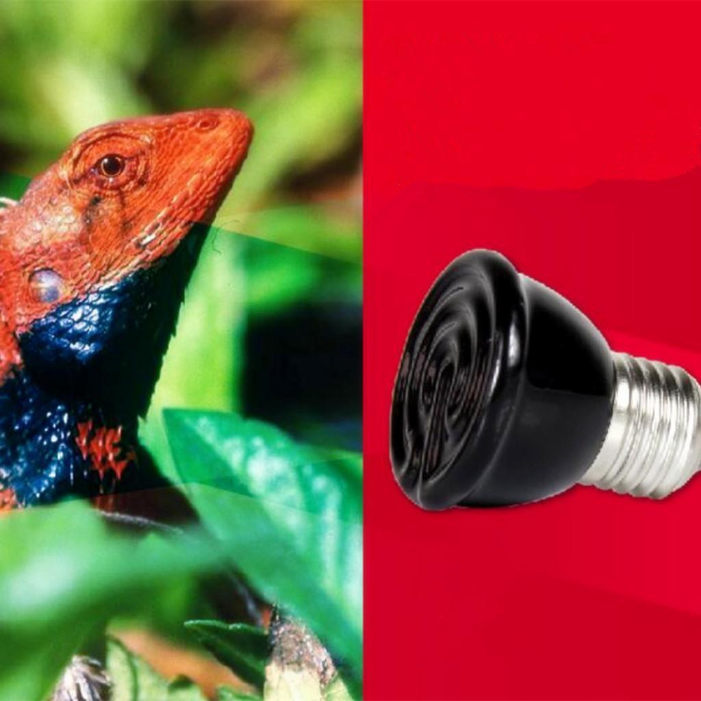 60W Mini Infrared Ceramic Emitter Heat Lamp Light Bulb Reptile Pet Brooder+NW-02 Aquarium Reptile Light Base Holder with Clamp Ceramic Heat Lamp Stand