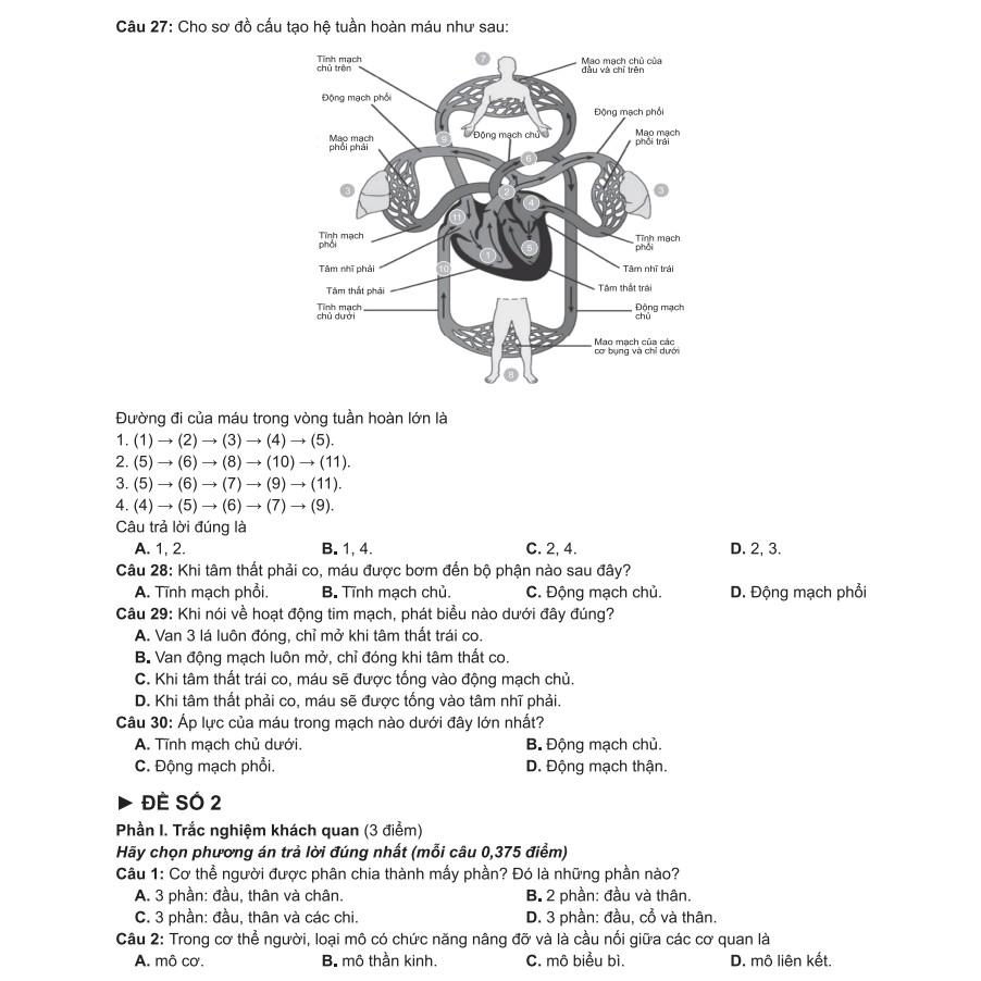 Sách - Bí quyết chinh phục điểm cao Sinh học 8 - NXB Đại học Quốc gia Hà Nội