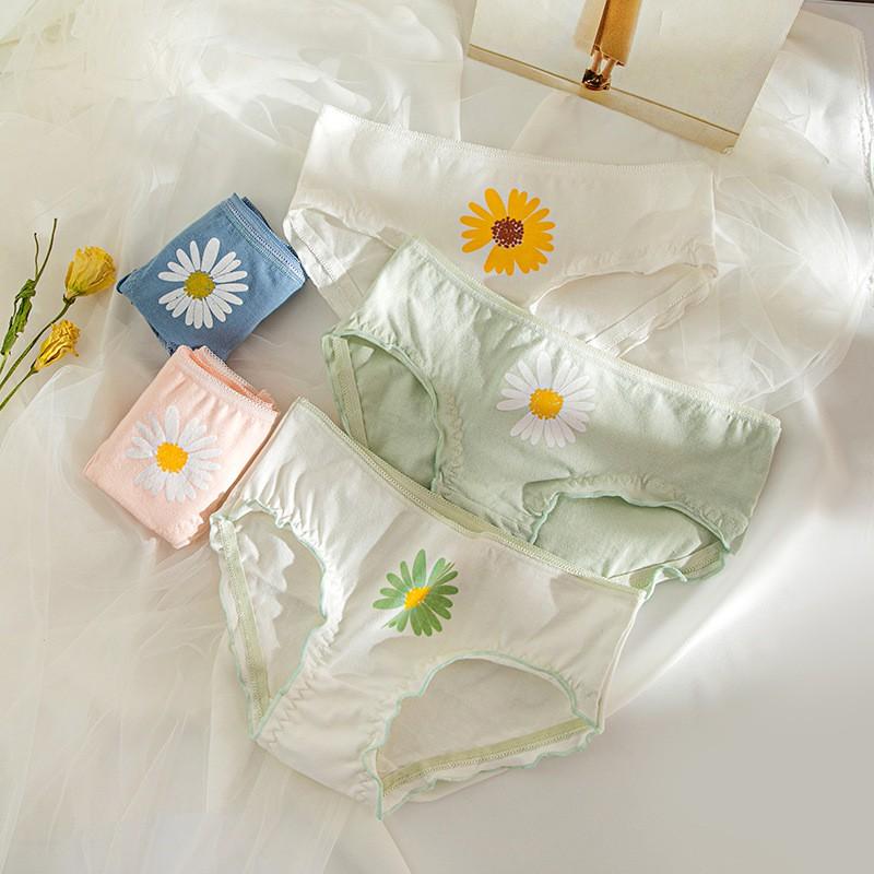 Quần Lót Nữ Cotton Cúc Họa Mi Xuất Nhật Hàng Loại Đẹp.