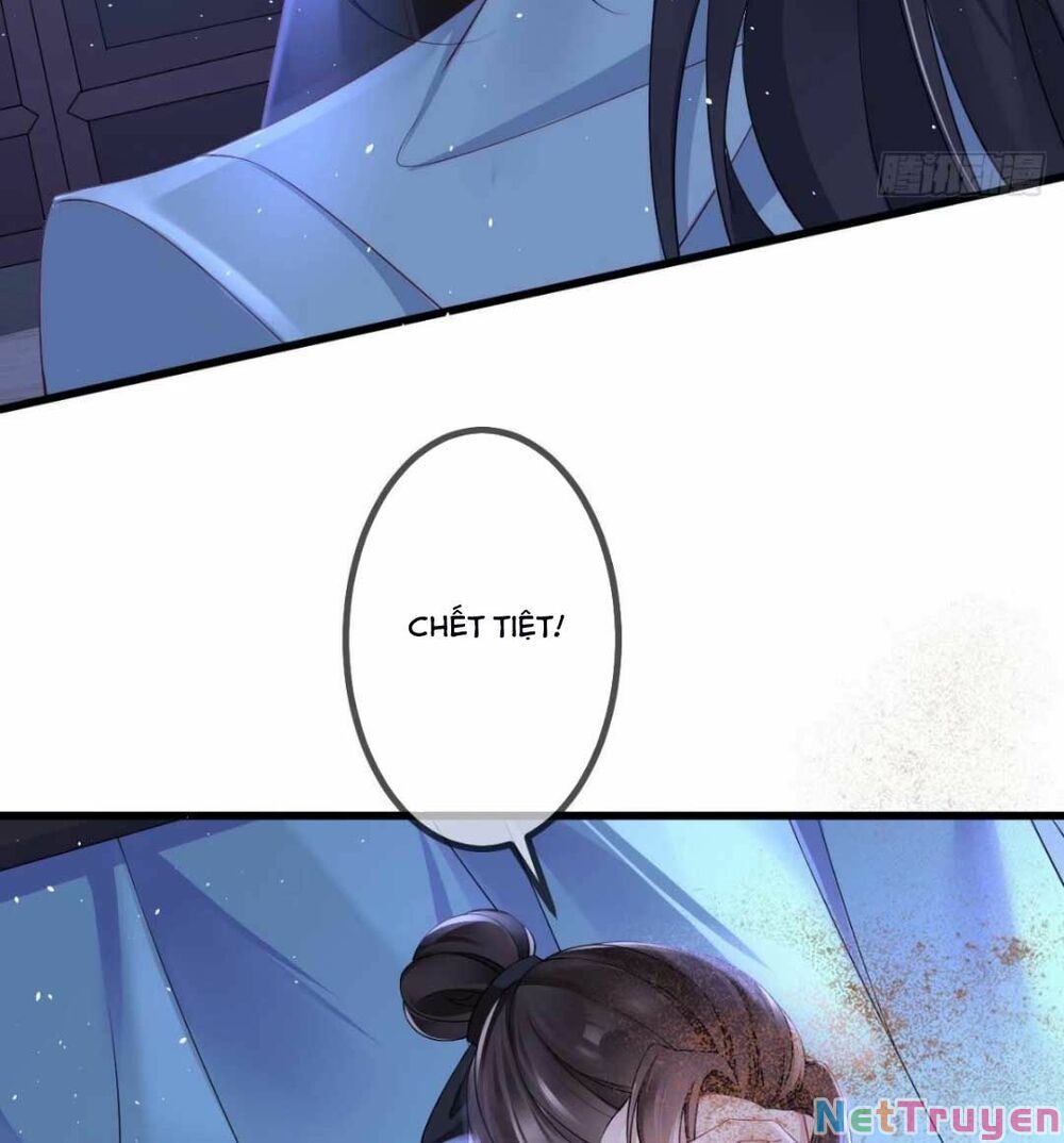 sự trả thù của vương phi chapter 2 17