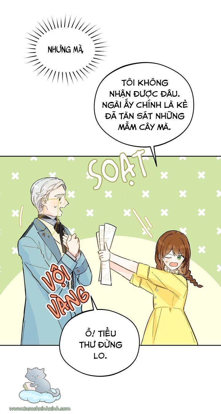 trang trại hạt dẻ cạnh hoàng cung chapter 21 13