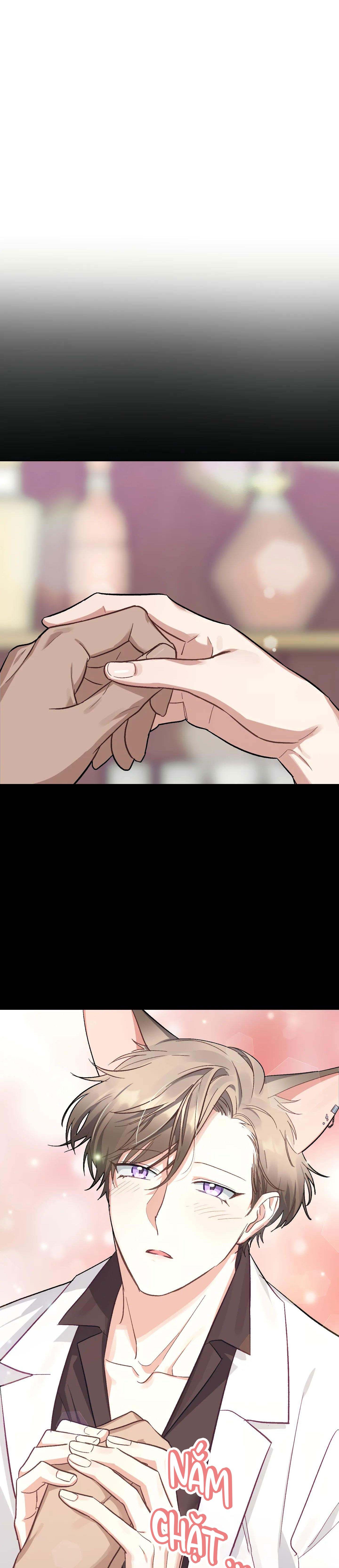 thỏ xuất tinh trong vòng 3 giây chapter 3 6