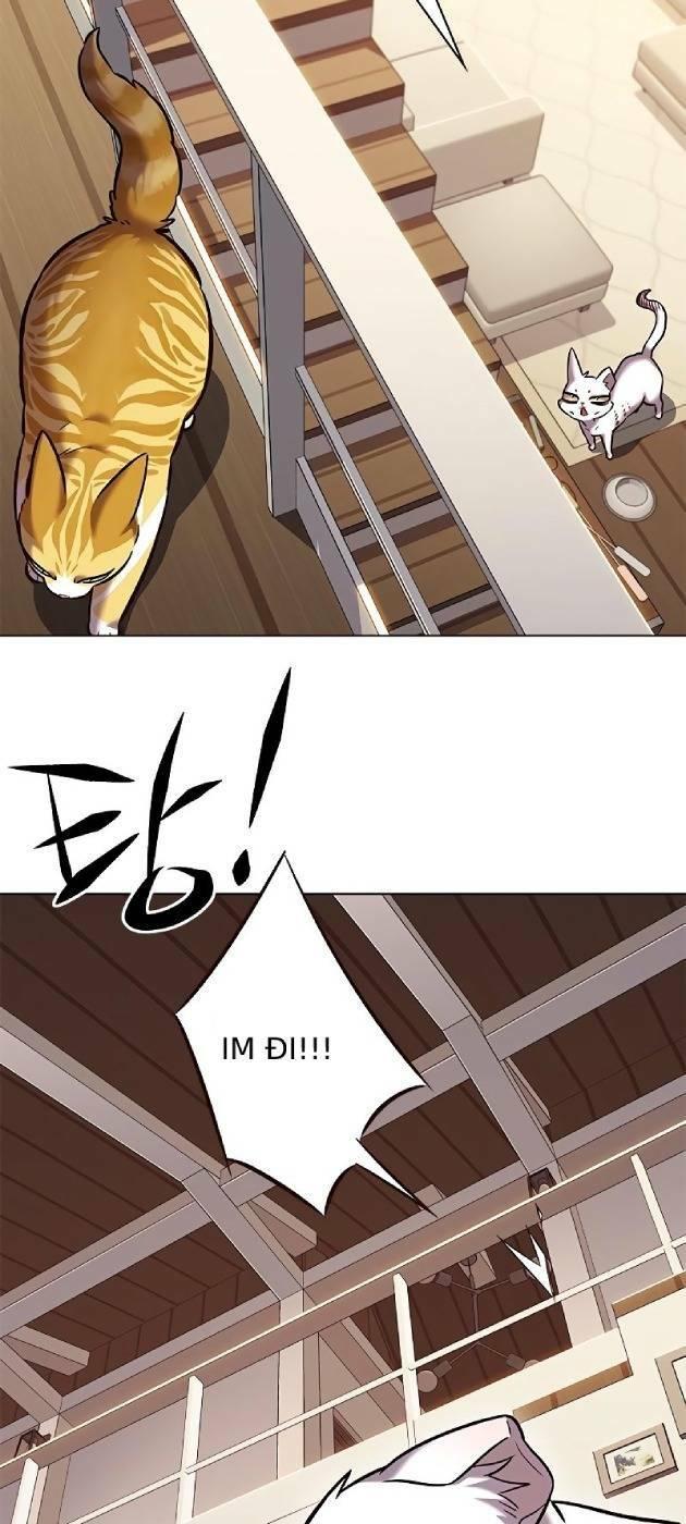 biến thân thành mèo chapter 241 60