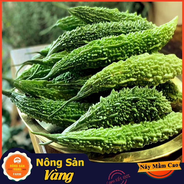 Hạt giống Khổ Qua Rừng ( Gói 10 hạt ) - Nông Sản Vàng