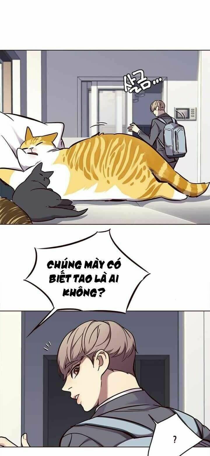 biến thân thành mèo chapter 100 4