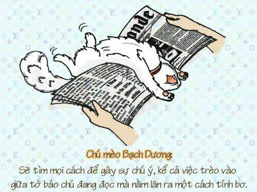 12 cung hoàng đạo vui chapter 22 4