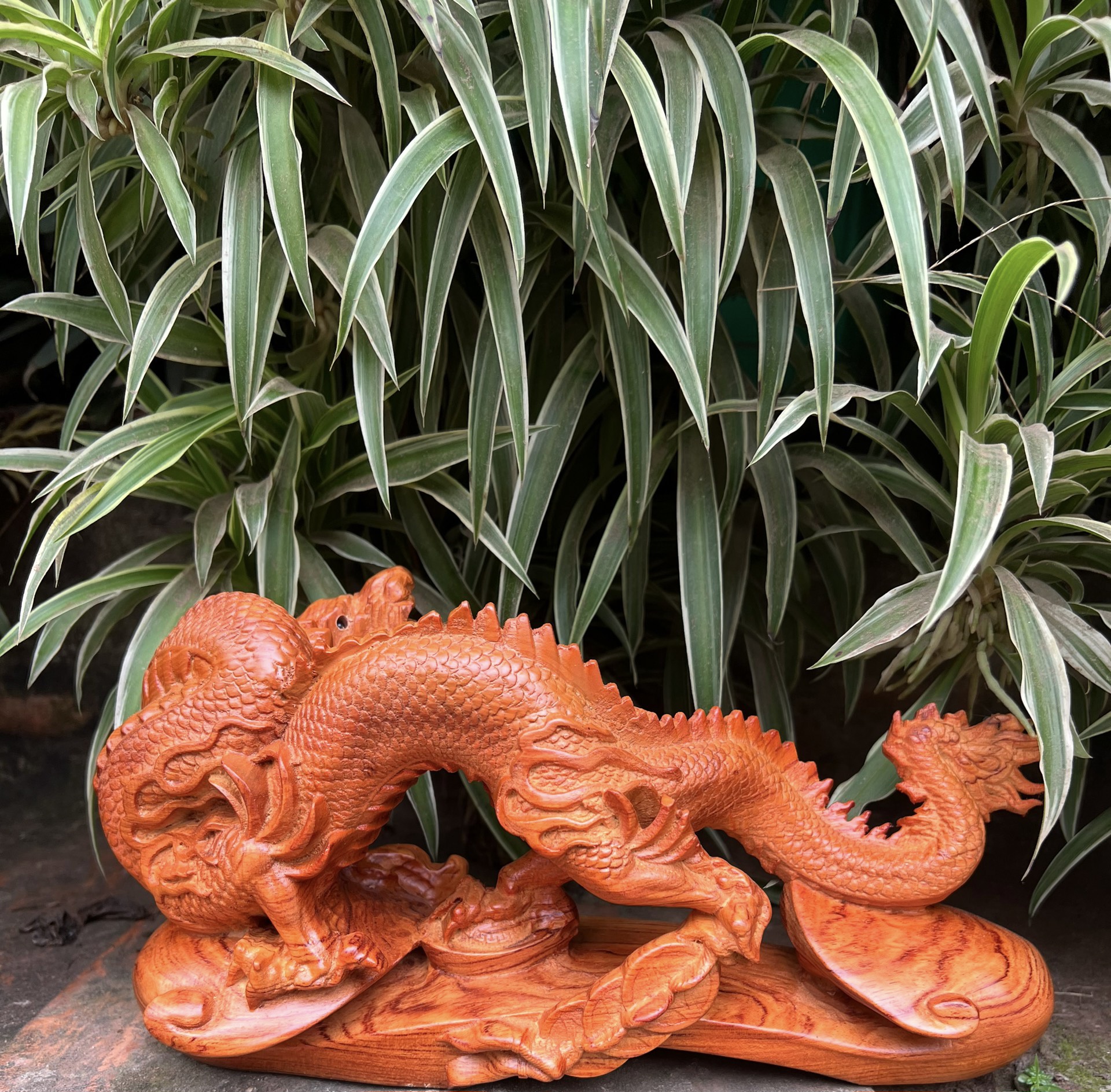 Tượng con rồng phong thủy bằng gỗ hương đá kt 30×16×12cm