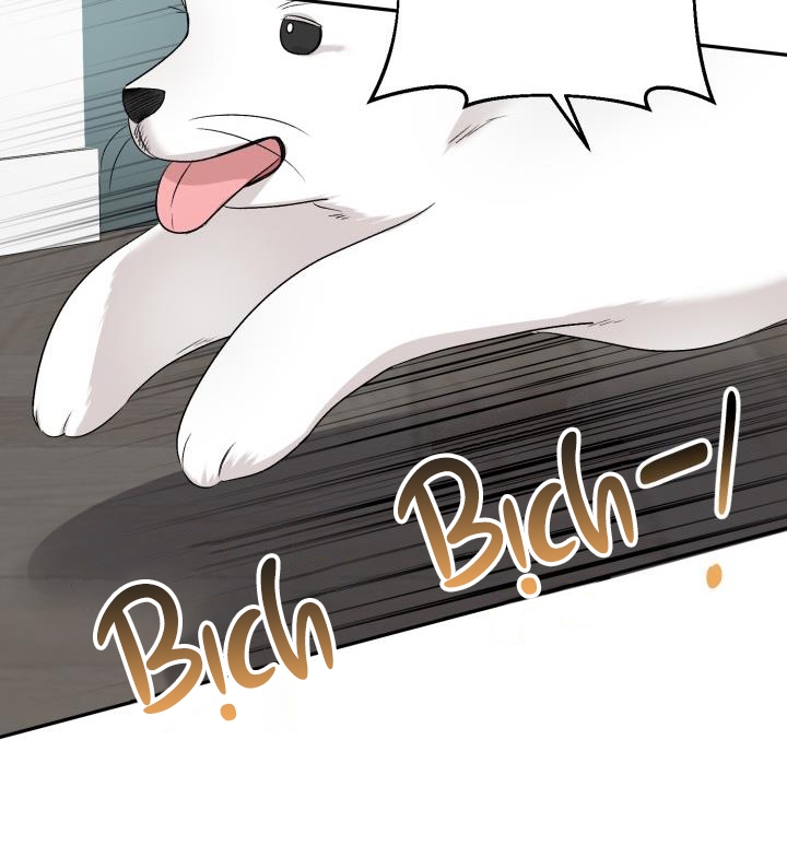 xác suất tình yêu chapter 66 72