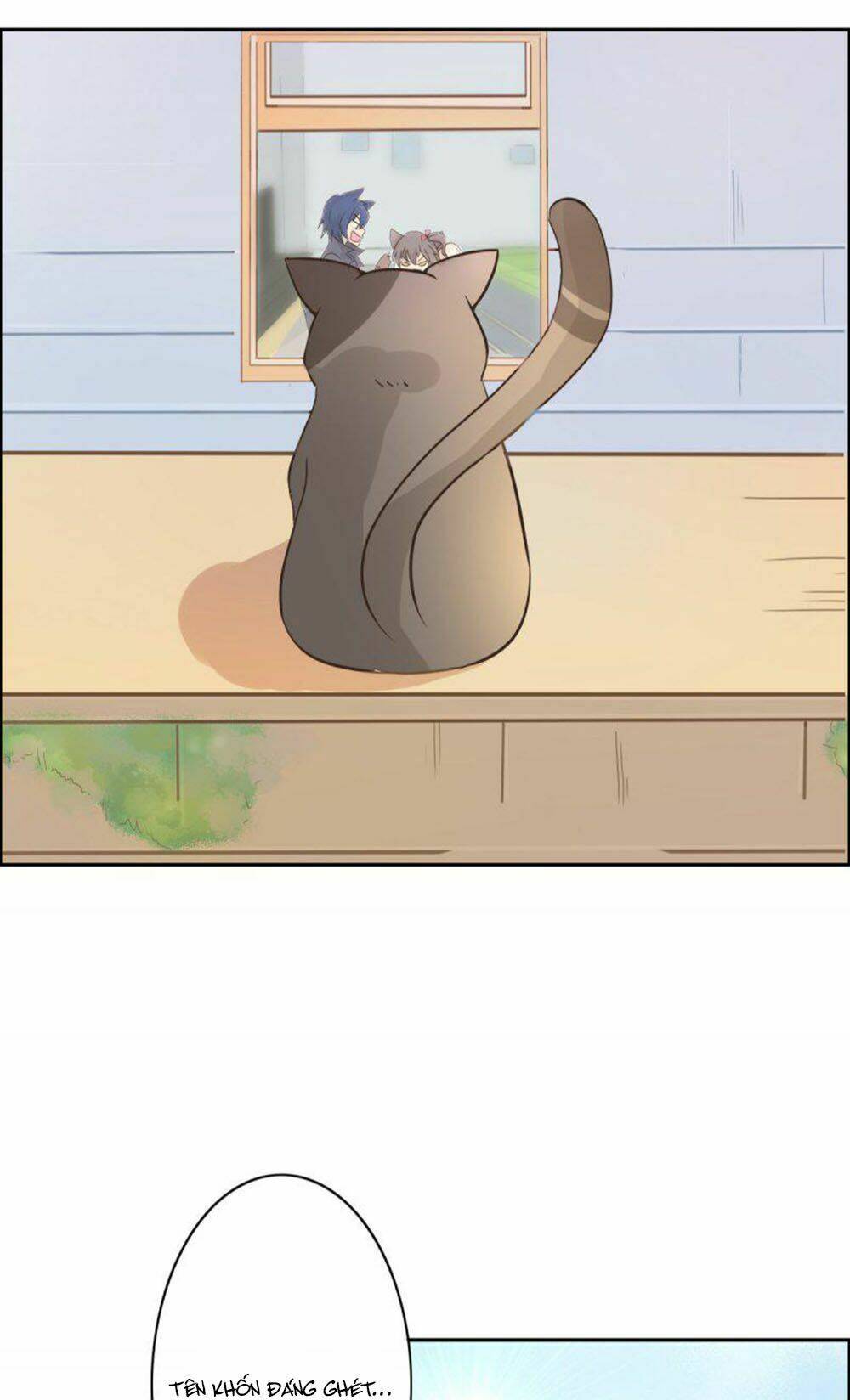 hai chú mèo totem chapter 1 32