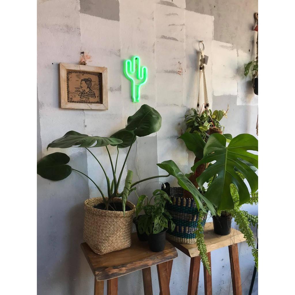 GIỎ CỎ BÀNG ĐAN ĐỰNG CÂY - TRANG TRÍ NỘI THẤT