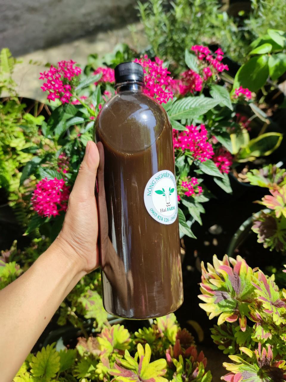 Combo 4 chai - Dịch trứng, chuối, đậu nành, humic, sữa tươi - Phân bón cao cấp cho hoa hồng, hoa lan, hoa kiểng