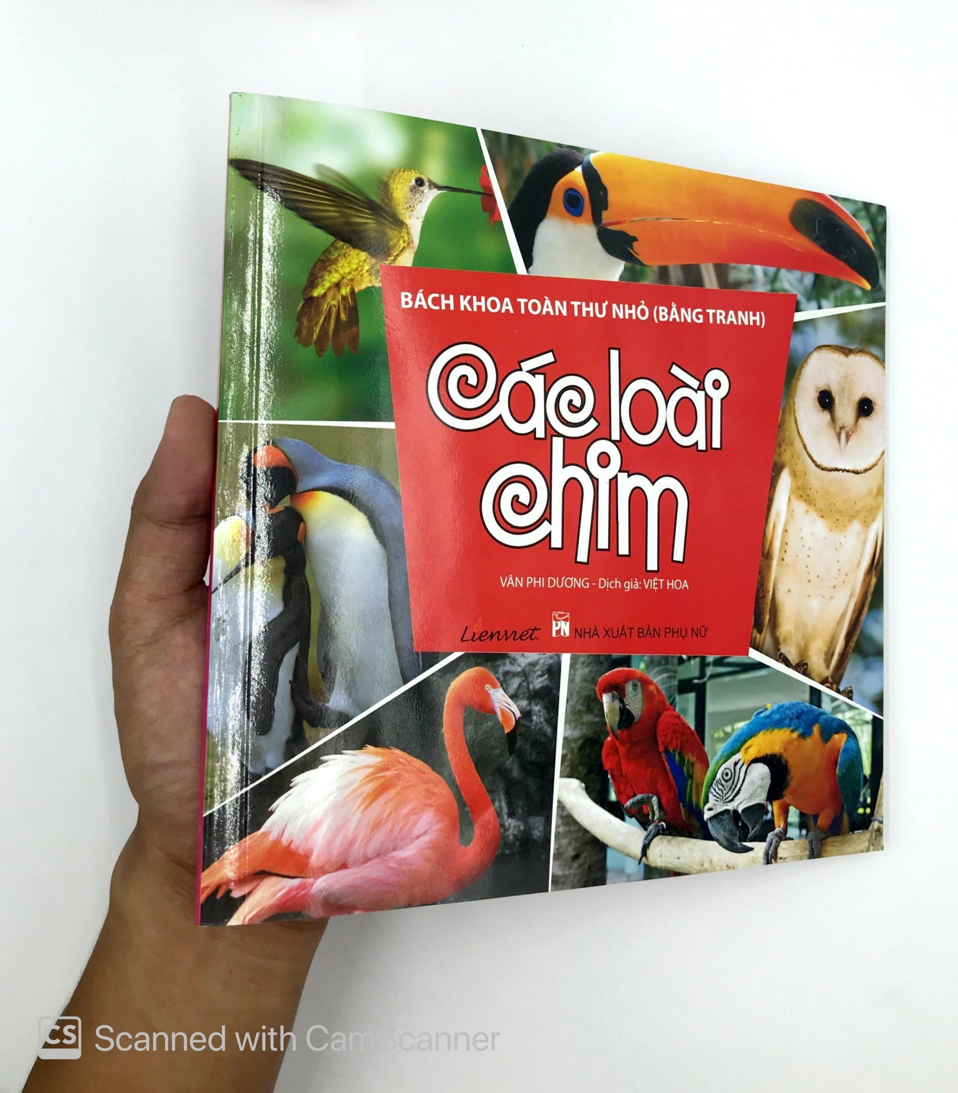 Bách Khoa Toàn Thư Nhỏ (Bằng Tranh) - Các Loài Chim