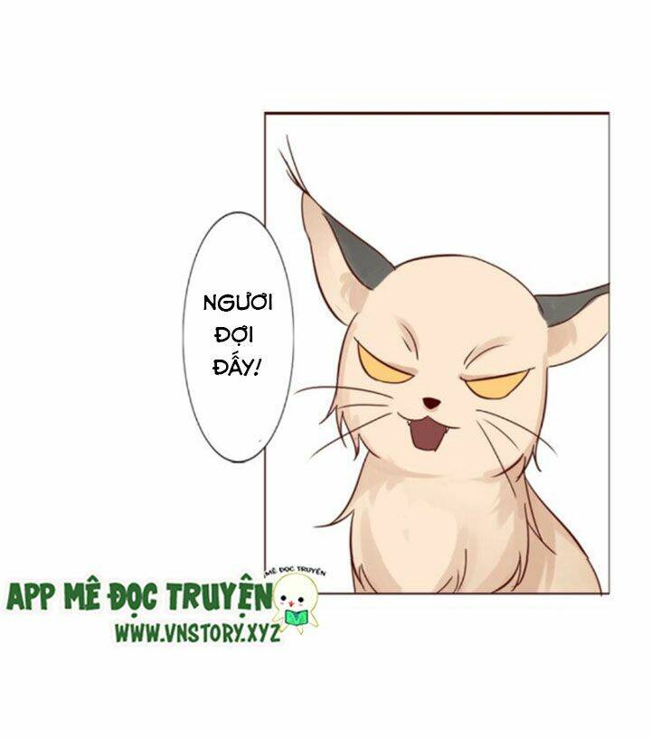 hồ tiên này không tin được chapter 8 23