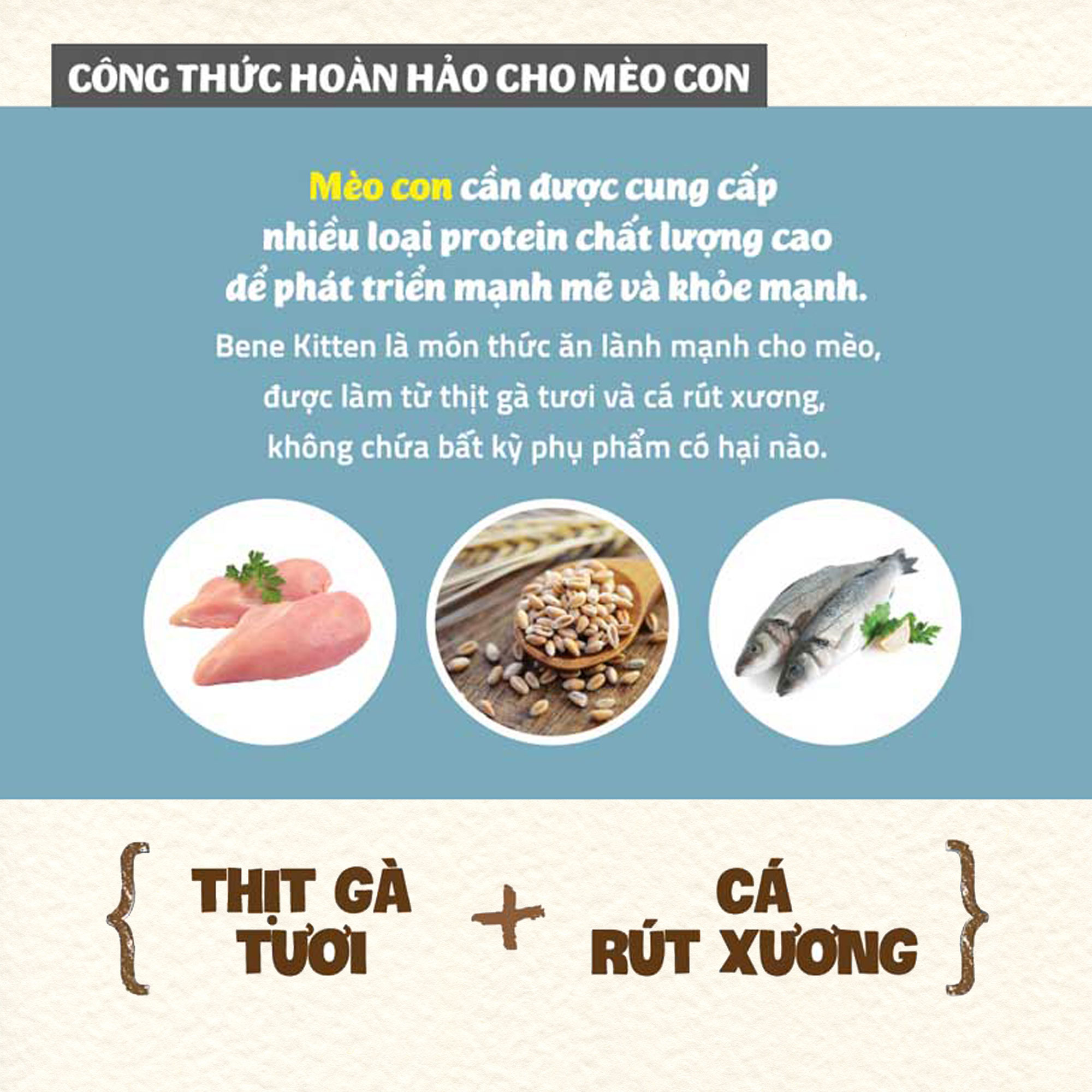 Thức ăn hạt cho mèo con Natural Core C1 Bene Kitten | Phát triển cơ xương toàn diện | Cải thiện tiêu hoá | Chăm sóc mắt, da và lông