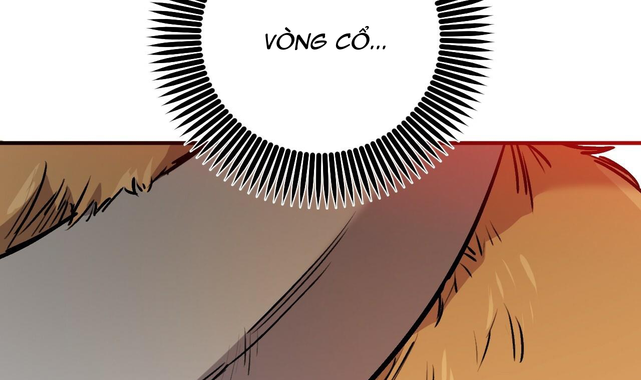 đàn thỏ của habibi chapter 45 163